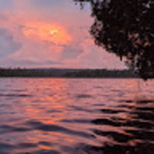 Meet your Posher, Marin